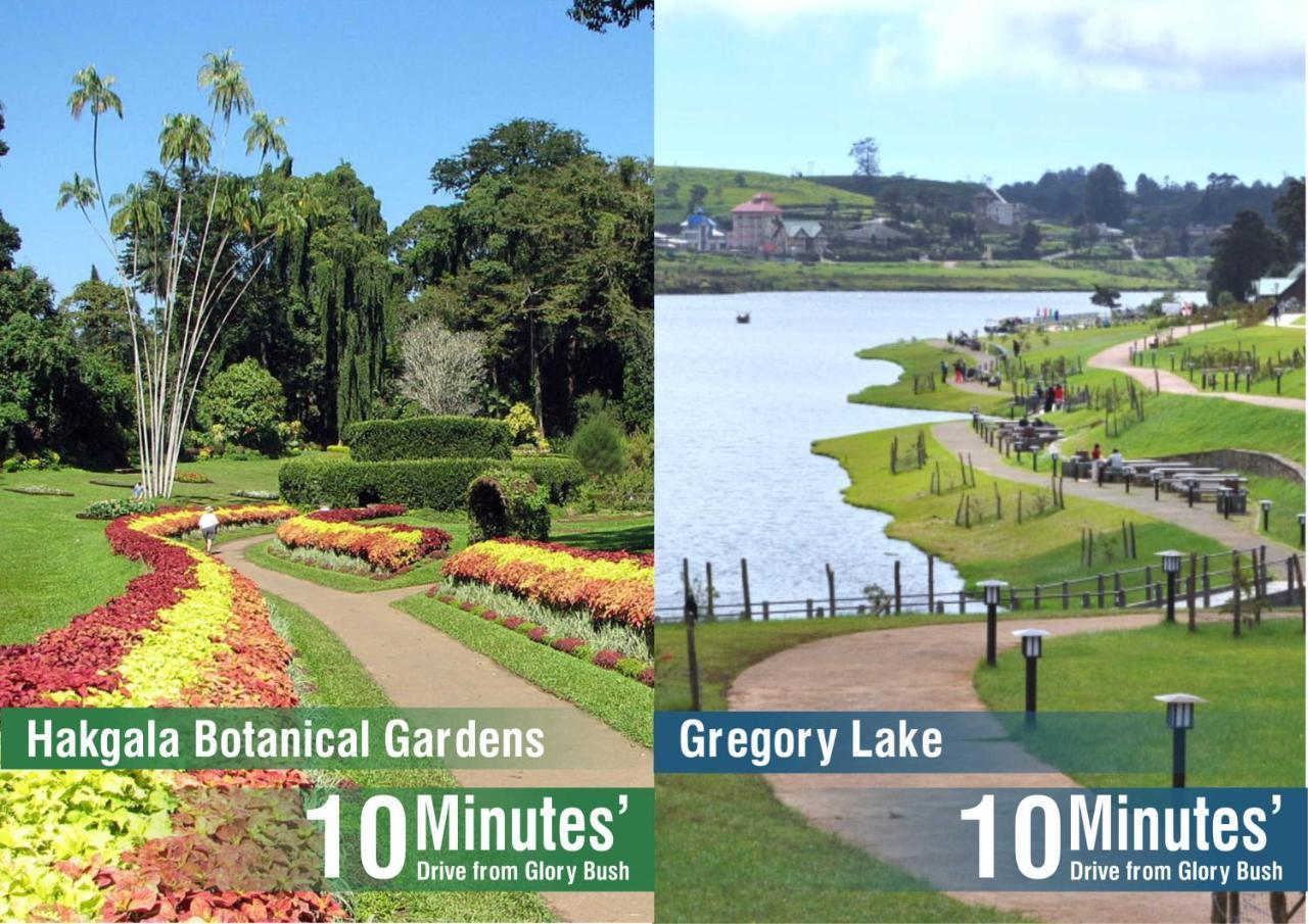 Glory Bush Boutique Villa Nuwara Eliya Exterior foto